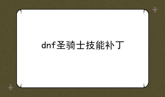 dnf圣骑士技能补丁