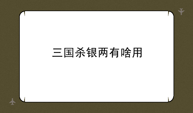 三国杀银两有啥用