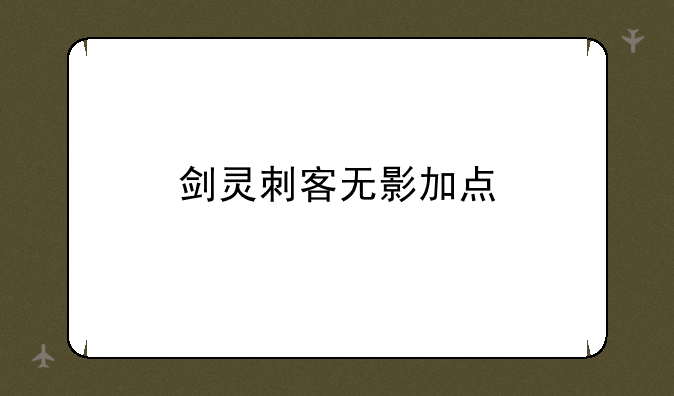 剑灵刺客无影加点