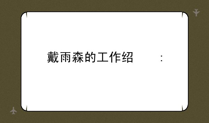 戴雨森的工作经历