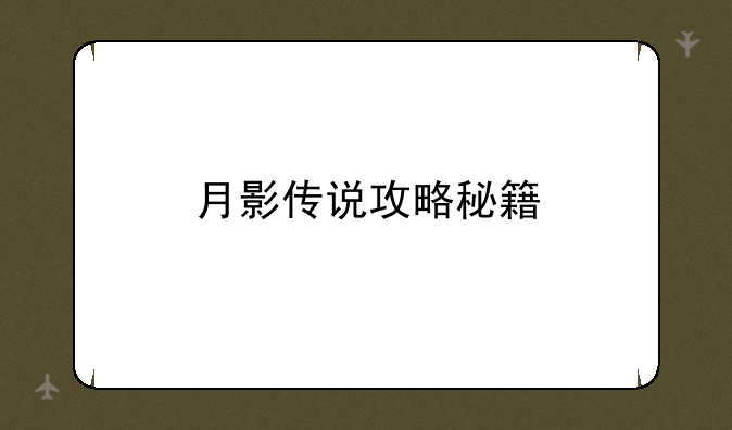 月影传说攻略秘籍