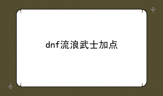 dnf流浪武士加点