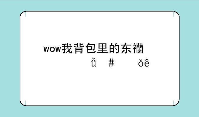 wow我背包里的东西自己消失了