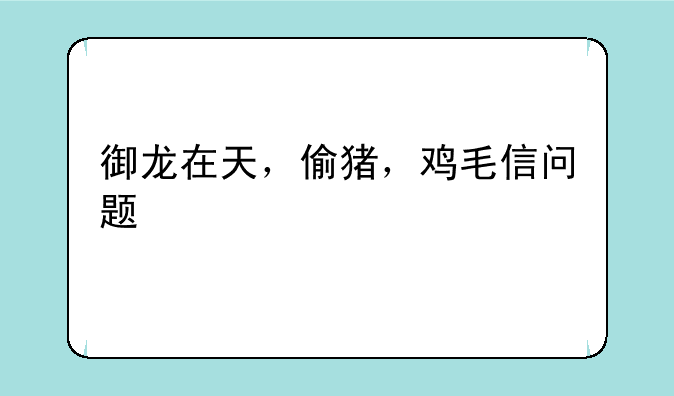 御龙在天，偷猪，鸡毛信问题