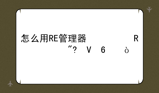 怎么用RE管理器修改游戏数据？