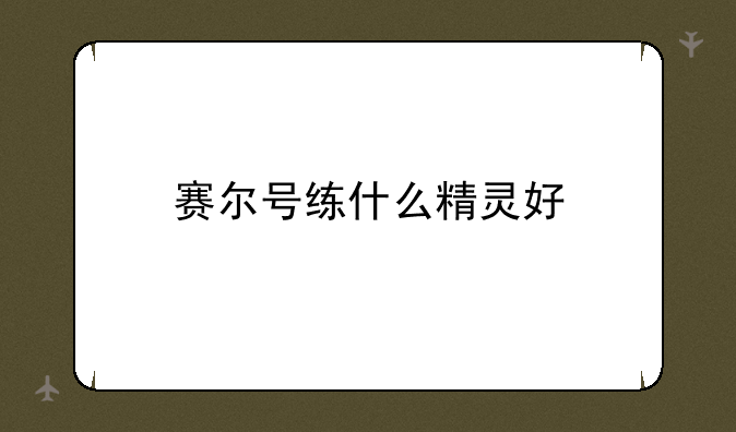 赛尔号练什么精灵好