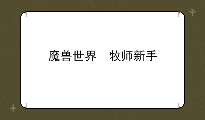 魔兽世界　牧师新手