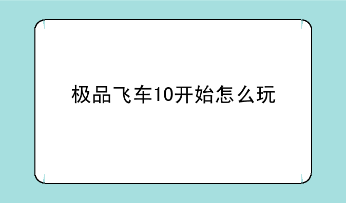 极品飞车10开始怎么玩