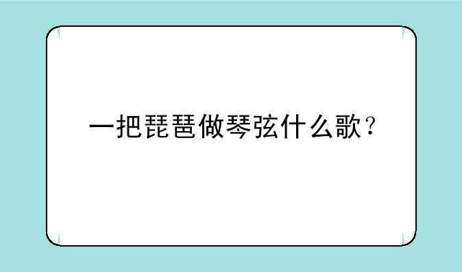 一把琵琶做琴弦什么歌？