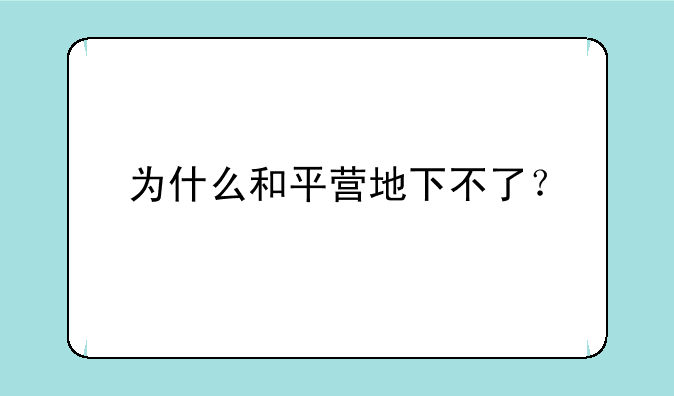 为什么和平营地下不了？