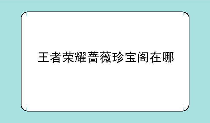 王者荣耀蔷薇珍宝阁在哪