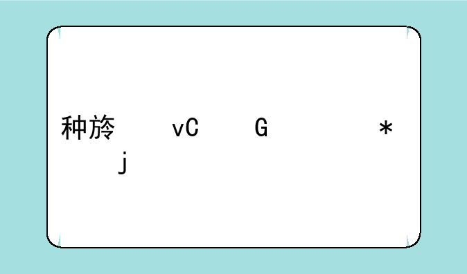 种族坐骑任务的详细过程