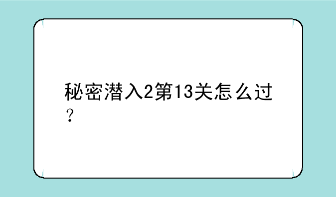 秘密潜入2第13关怎么过？