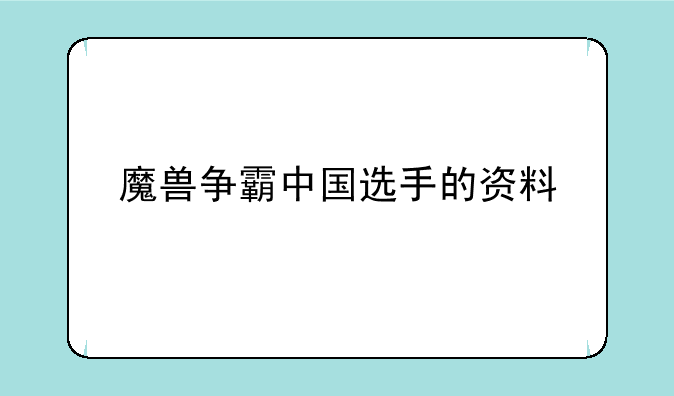 魔兽争霸中国选手的资料