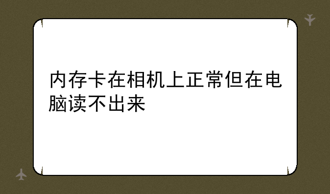 内存卡在相机上正常但在电脑读不出来