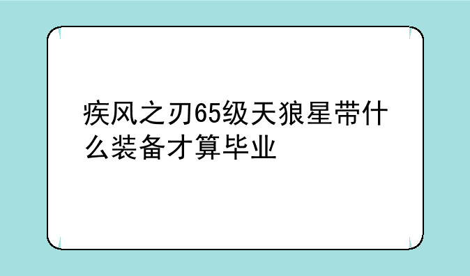 疾风之刃65级天狼星带什么装备才算毕业