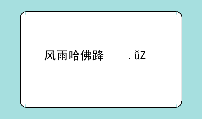 风雨哈佛路英文版中英双语字幕在哪能下载到