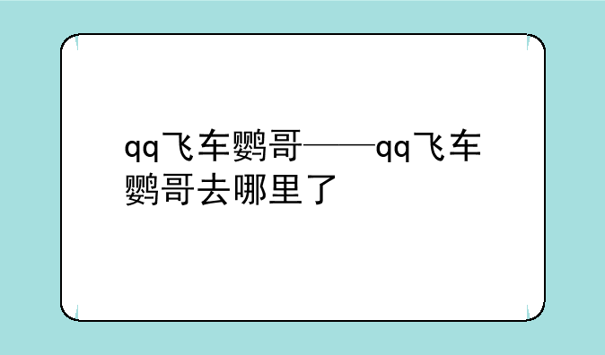 qq飞车鹦哥——qq飞车鹦哥去哪里了