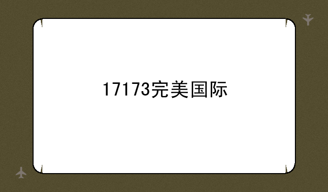 17173完美国际