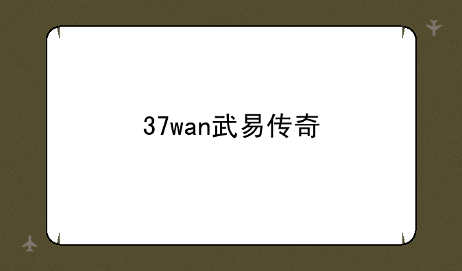 37wan武易传奇