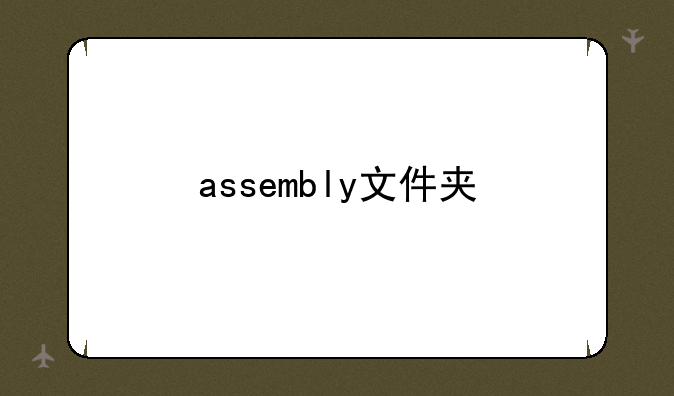 assembly文件夹