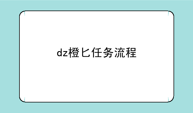 dz橙匕任务流程