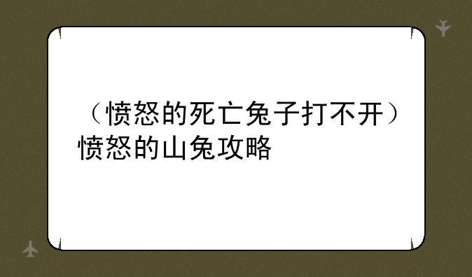 （愤怒的死亡兔子打不开）愤怒的山兔攻略