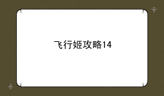 飞行姬攻略14