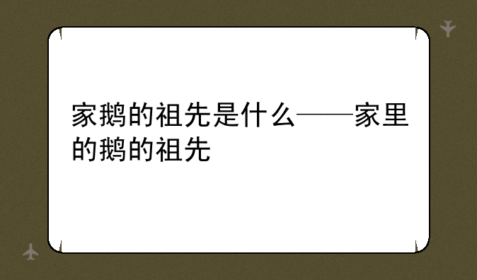 家鹅的祖先是什么——家里的鹅的祖先